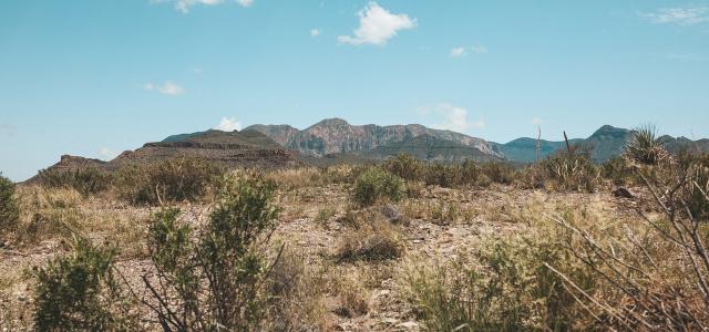 Texas